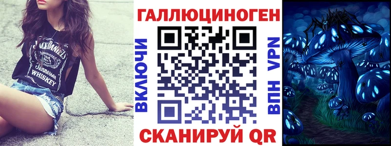 наркота  Холм  Псилоцибиновые грибы Cubensis 